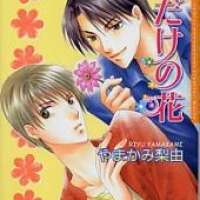   Anata Wa Boku Dake No Hana <small>Story & Art</small> 